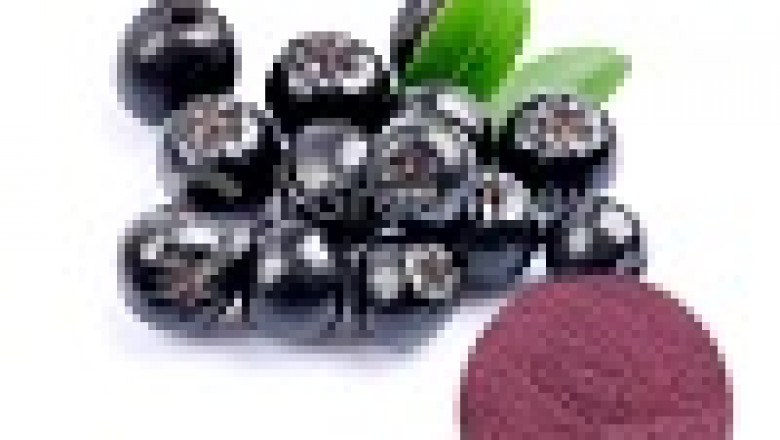 Aronia Extract Powder