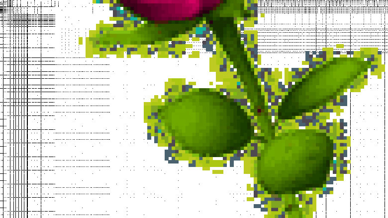 Erotic Services in Calgary