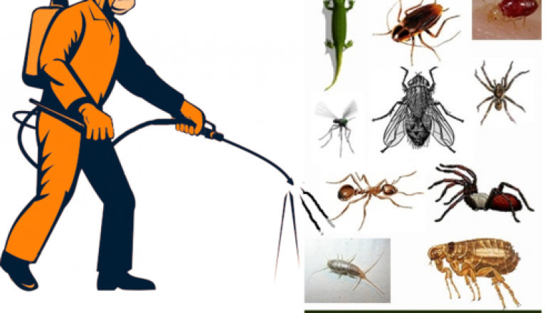 Get rid of unwanted insects instantly