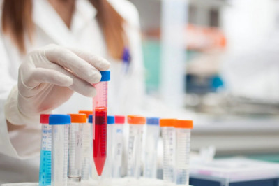 IVF Software | Lab Art & Management System | Medicasoft