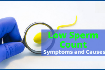 What Causes Low Sperm Count and How Is It Treated? - Dr. Alka (IVF Doctor in Udaipur)