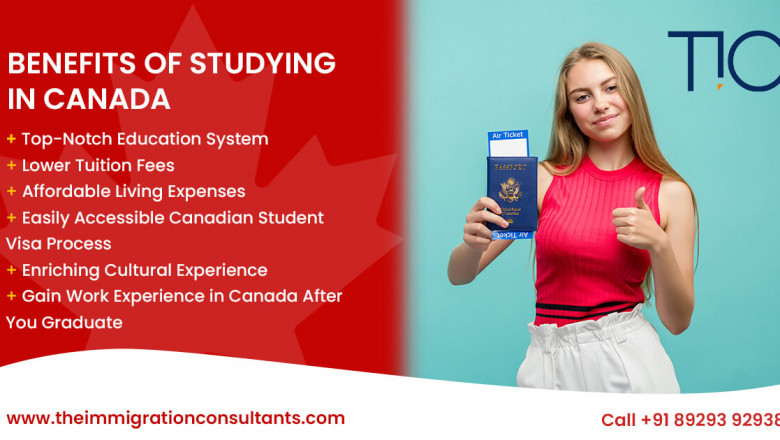 Best Immigration Consultants In Goa For Canada | Study Visa – TIC
