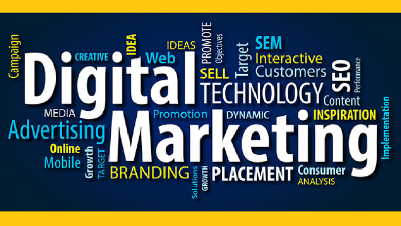 How does my startup hire an affordable marketing expert?