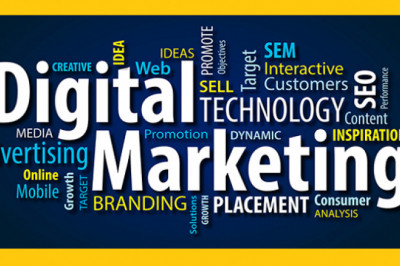 How does my startup hire an affordable marketing expert?