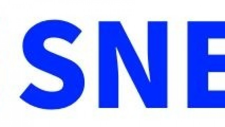 Shopping for A Designer Shoes