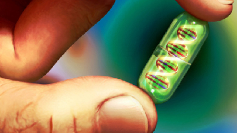 Increased cancer prevalence, as well as the commercialization and distribution of new products, will help the Companion Diagnostics Market grow