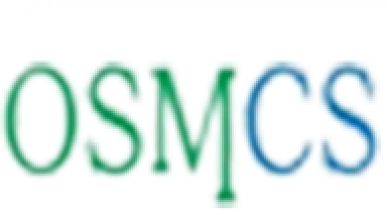 OS Management Consulting Services in Noida