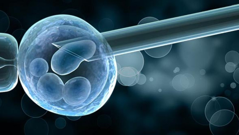The rising demand for Preimplantation Genetic Diagnosis Market is fueled by a promising fertility rate
