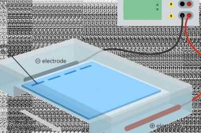 You Will Never Thought That Knowing Electrophoresis Could Be So Beneficial