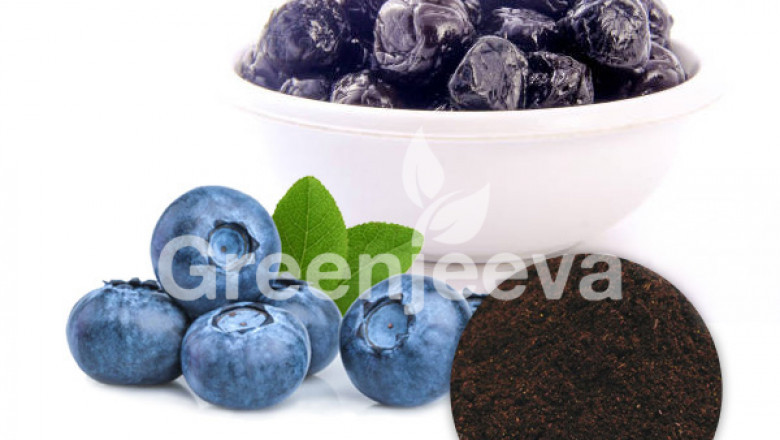 Blueberry Fruit Powder