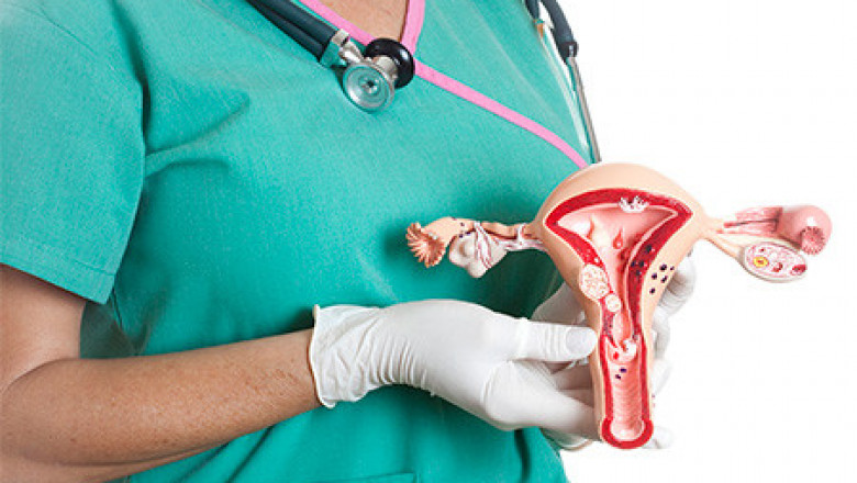 Endometrial Ablation Market Size, Trends, Shares, Insights and Forecast – 2018-2026
