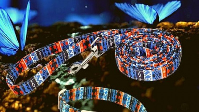 Buy pet accessories | personalize dog collar