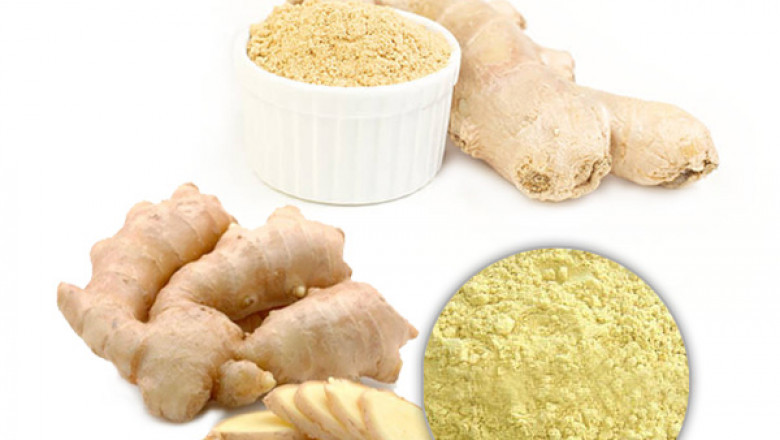 Ginger Extract Powder