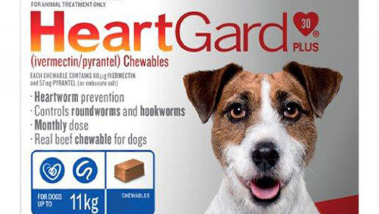 Buy Heartgard Plus Chewables for Dogs Online - VetSupply