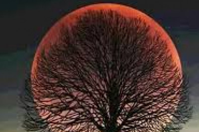 PCD Pharma Franchise in Jammu