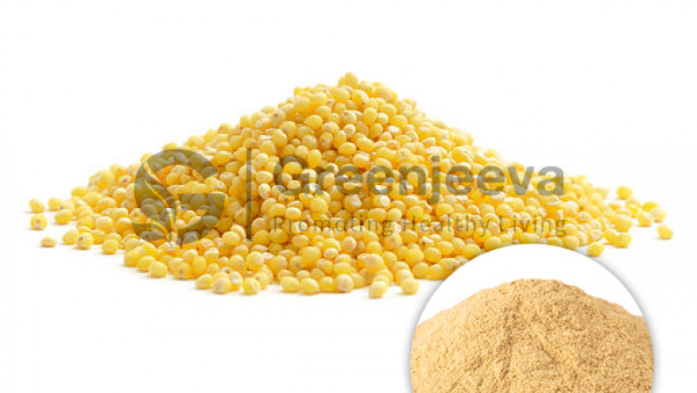 Millet Extract Powder