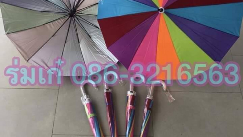 Umbrella Characteristics To Look For Available on the market