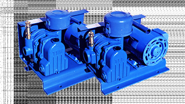 Wilden diaphragm pump