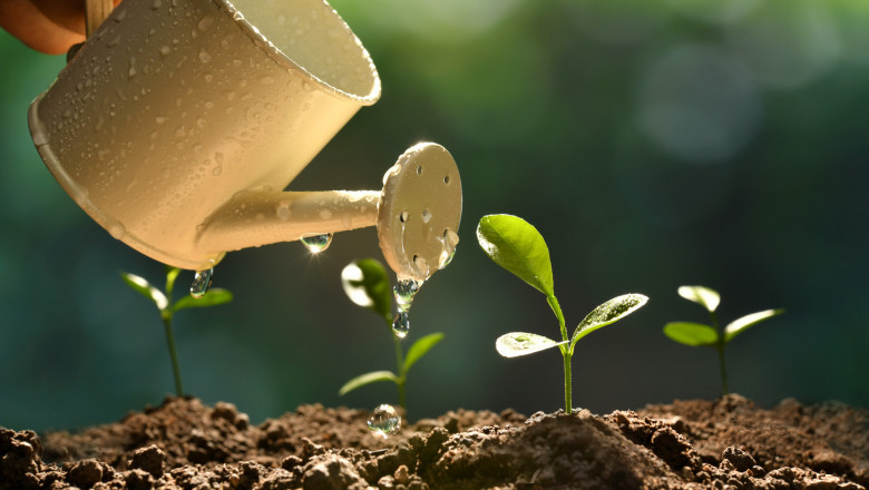 Benefits of Using Coco Coir in the Garden