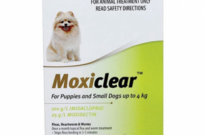 Buy Moxiclear Flea & Tick Control For Dogs Online - DiscountPetCare