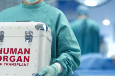 Organ Transplant Market Size, Share, Outlook, and Opportunity Analysis, 2018– 2026
