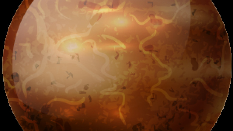 Mercury Transit in Pisces and its Impacts Pisces