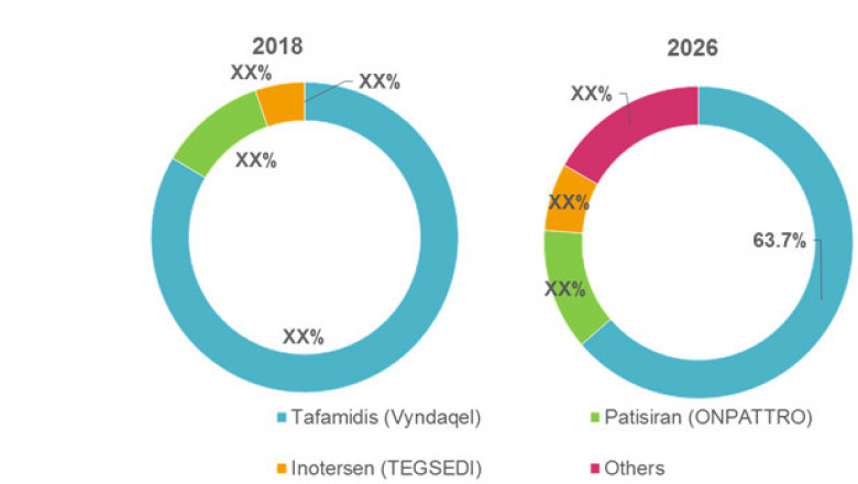 Transthyretin Amyloidosis Treatment Market Opportunity Analysis - 2026