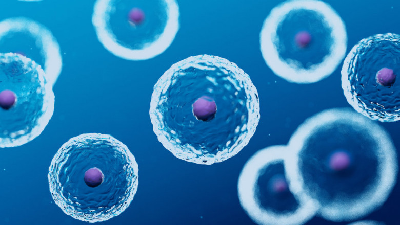 Regenerative Medicine Market Global Demand, Supply and Production Analysis 2021 to 2030