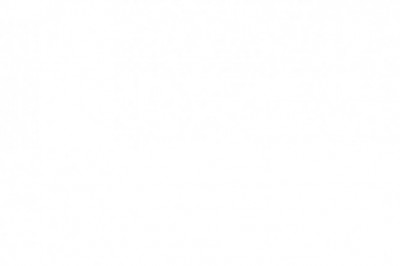 Tree Removal  Ottawa Tree Pruning