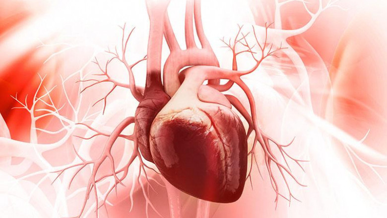 Familial Amyloid Cardiomyopathy Treatment Market Opportunity Analysis-2026