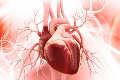 Familial Amyloid Cardiomyopathy Treatment Market Opportunity Analysis-2026