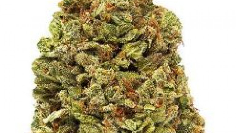 The best way to Pick out The very best CBD FOR YOU