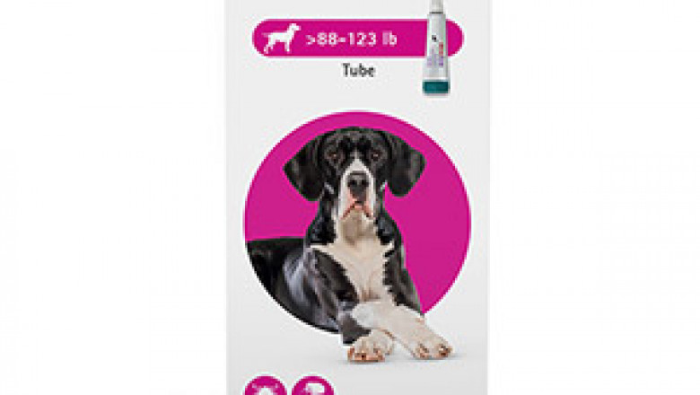 Buy Bravecto topical for x- large dogs | flea and tick treatment for dogs