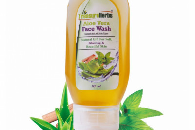 Treasureherbs- natural Aloe Vera face wash | Daybigen