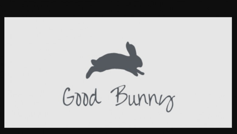 The best way to Care To get a Bunny Rabbit