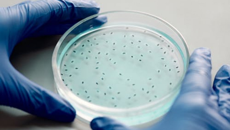The cell therapy manufacturing market