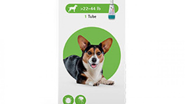 Buy bravecto topical for medium dogs | petcareclub