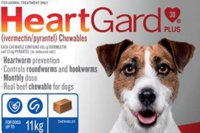 Buy Heartgard Plus Chewables For Dogs Online - DiscountPetCare