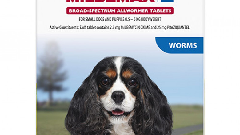 Buy Milbemax All Wormer For Dogs Online - DiscountPetCare