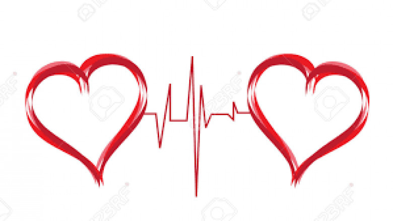 Erotic Services in Beverly Hills |Erotic Services in Beverly Hills