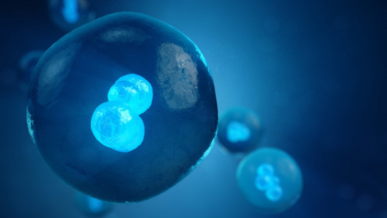 Life Cell Imaging: Rising concern of cancer is one of the major factors behind the market growth