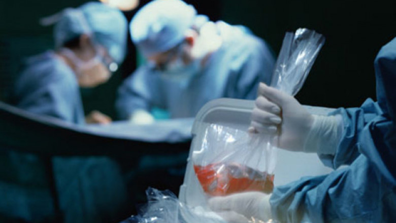 Organ Preservation into the 2020s: The Era of Dynamic Intervention