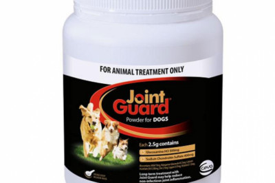 Buy Joint Guard Powder For Dogs Online - DiscountPetCare