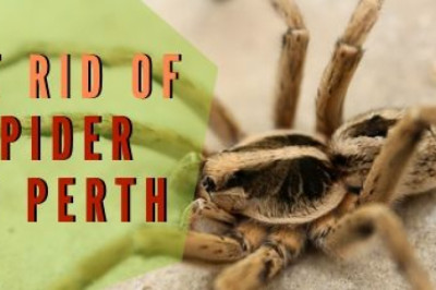 Marks Pest Control Perth