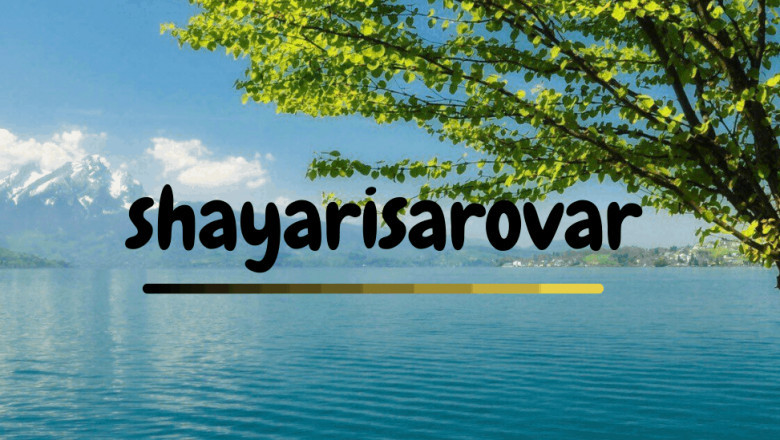 Shayari | Love Staus | True Love Shayari in Hindi