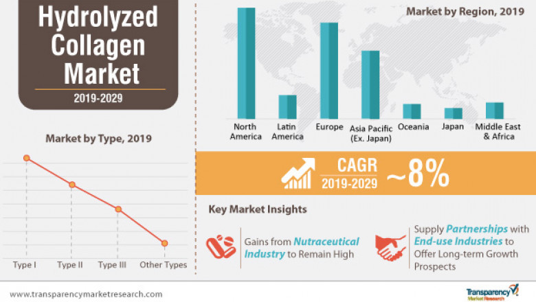 Hydrolyzed Collagen Market to grow at a CAGR of 8% during 2019 - 2029