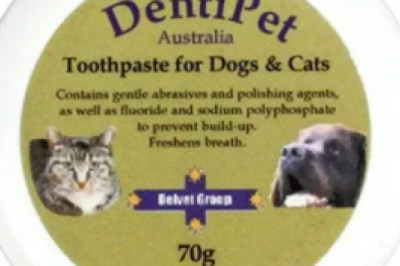 Buy Dentipet Dog & Cat Chicken Flavour Toothpaste Online- VetSupply