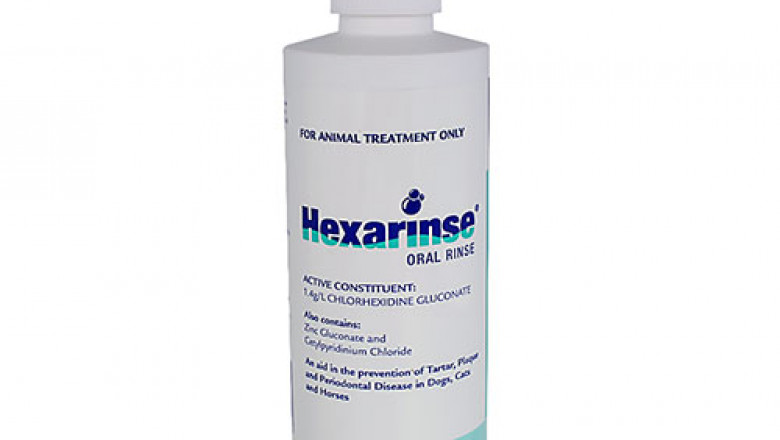 Buy Hexarinse Oral Rinse for Dogs, Cats & Horses Online - DiscountPetCare