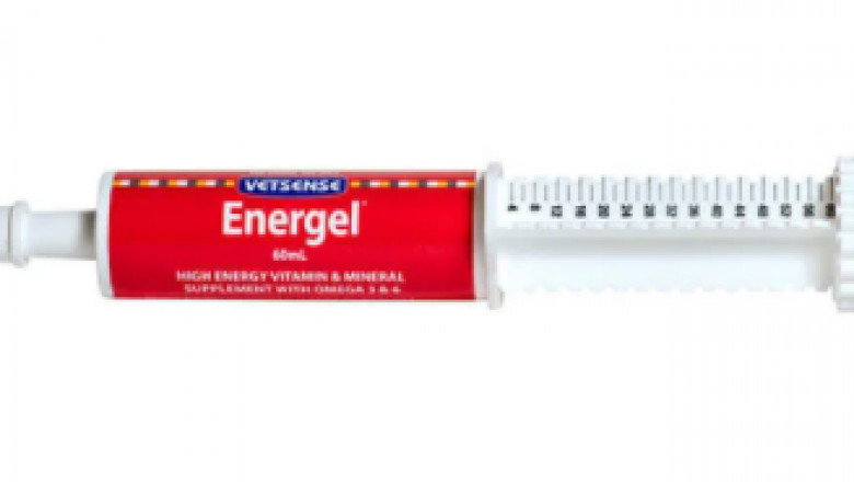 Buy Vetsense Energel for Dogs and Cats Online - VetSupply