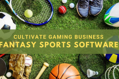 How Fantasy Sports Software can Cultivate Virtual Gaming Business?